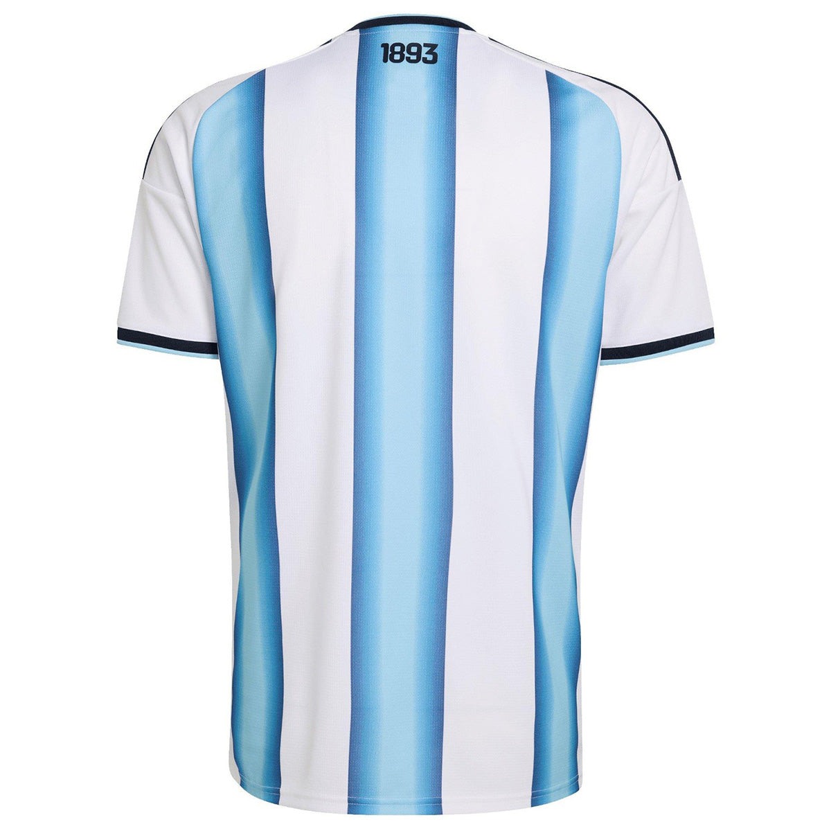 Argentine Domicile Maillot 2026 Blue&White - Super