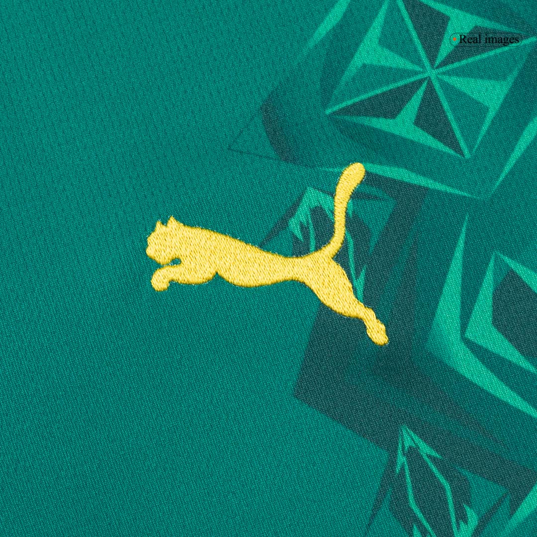 Sénégal Extérieur Maillot 2026 Vert