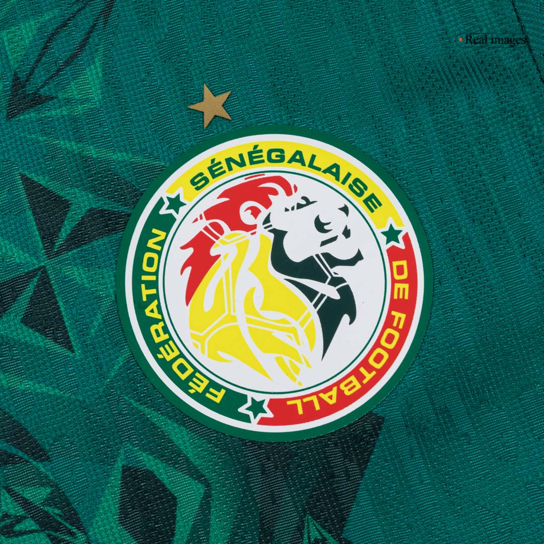 Sénégal Extérieur Maillot 2026 Vert Joueur