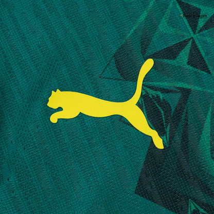 Sénégal Extérieur Maillot 2026 Vert Joueur